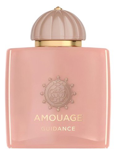 Amouage Guidance Eau de Parfum Unisex 100ml
